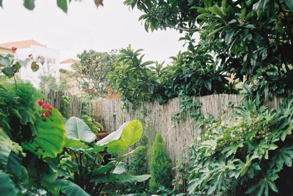 Apartment With Private Garden Porto Quarto foto